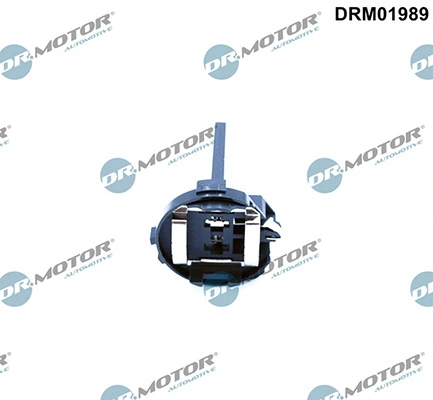 LIZARTE DRM01989