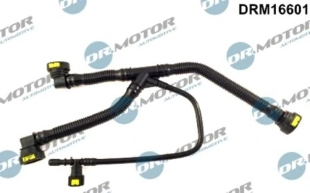 LIZARTE DRM16601