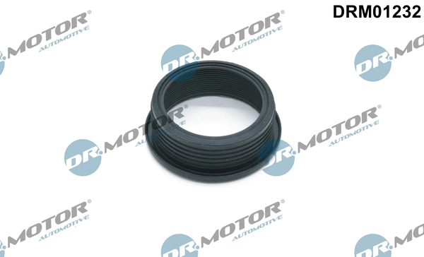 LIZARTE DRM01232
