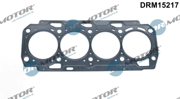 LIZARTE DRM15217
