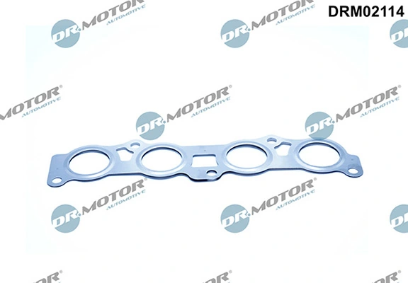 LIZARTE DRM02114