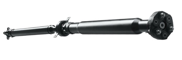 LIZARTE PS0053