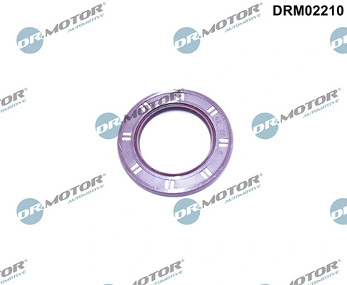 LIZARTE DRM02210