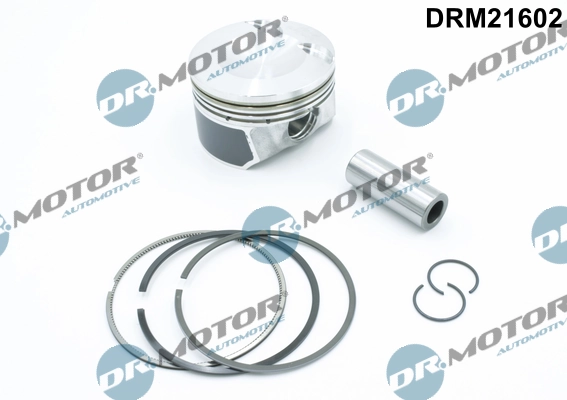 LIZARTE DRM21602