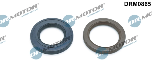 LIZARTE DRM0865