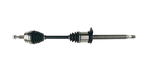 LIZARTE DS1035