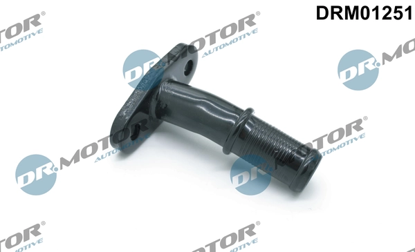 LIZARTE DRM01251