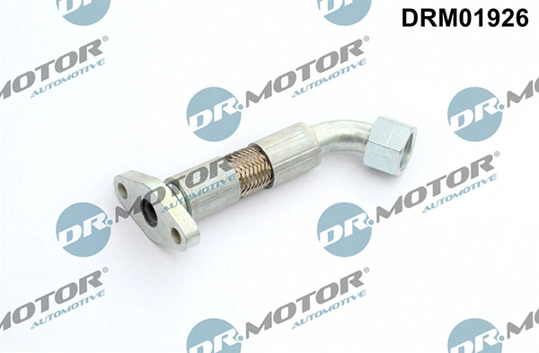 LIZARTE DRM01926