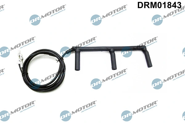 LIZARTE DRM01843