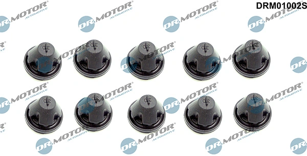 LIZARTE DRM01002S