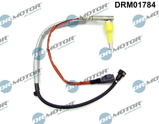 LIZARTE DRM01784