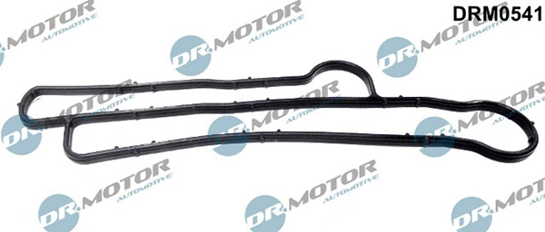 LIZARTE DRM0541