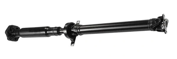 LIZARTE PS0006