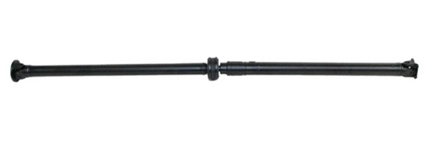 LIZARTE PS0041