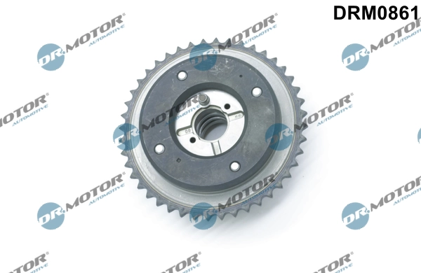LIZARTE DRM0861