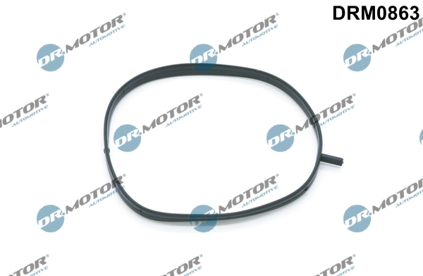 LIZARTE DRM0863