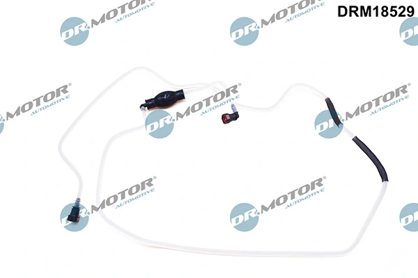 LIZARTE DRM18529