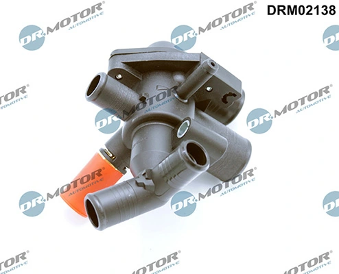 LIZARTE DRM02138