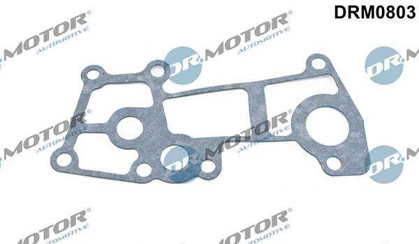 LIZARTE DRM0803