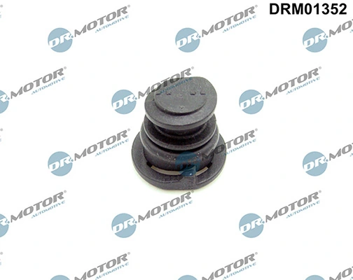 LIZARTE DRM01352