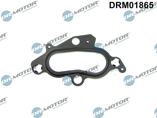 LIZARTE DRM01865