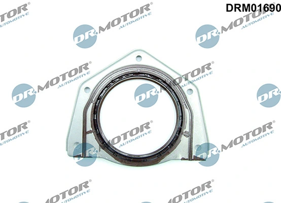 LIZARTE DRM01690