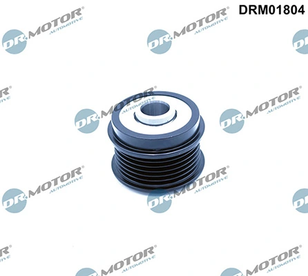 LIZARTE DRM01804