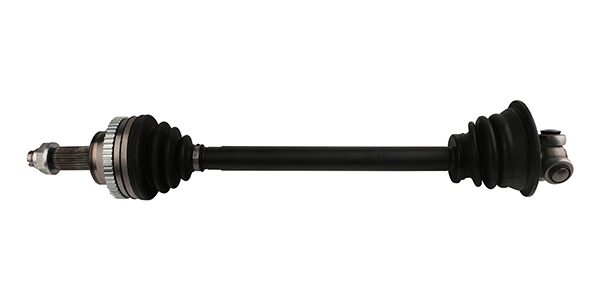 LIZARTE DS0450