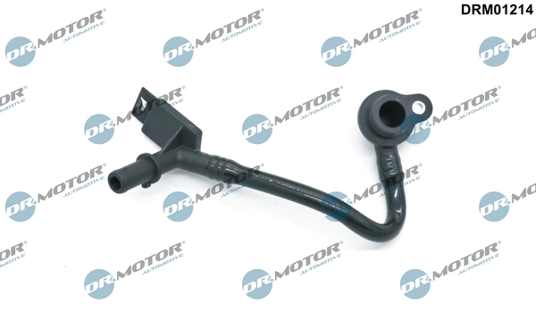 LIZARTE DRM01214