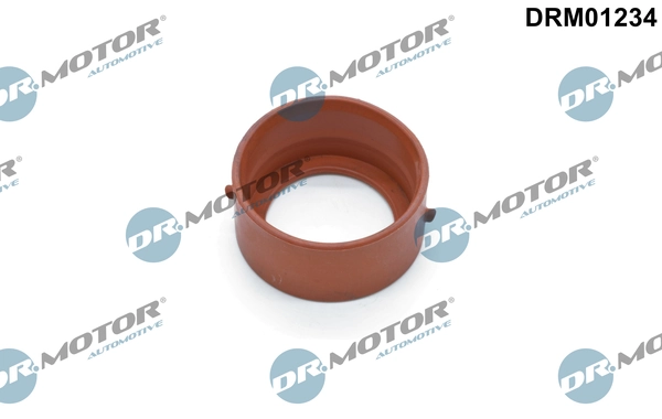 LIZARTE DRM01234