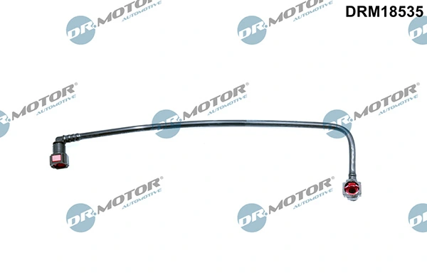 LIZARTE DRM18535