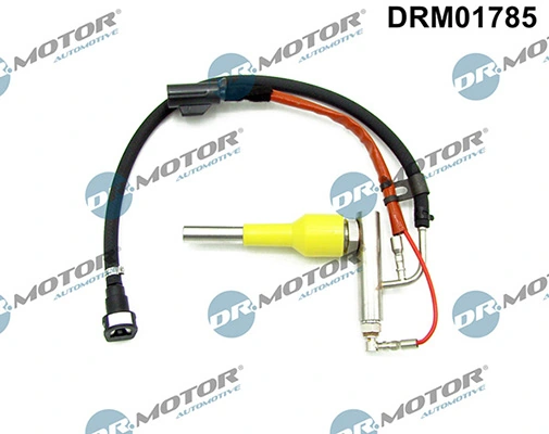 LIZARTE DRM01785