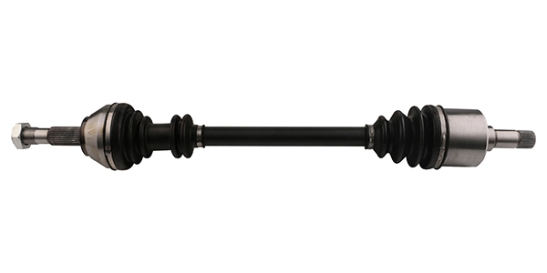 LIZARTE DS0273