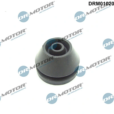 LIZARTE DRM01020