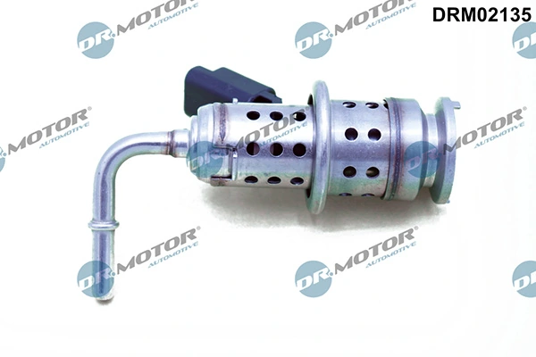LIZARTE DRM02135