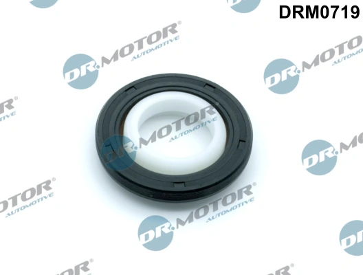 LIZARTE DRM0719