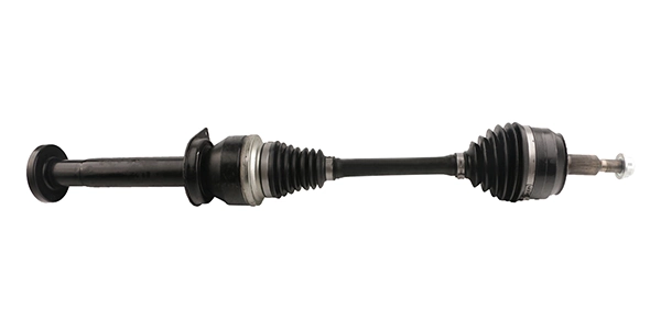 LIZARTE DS1005