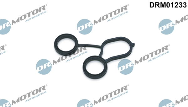 LIZARTE DRM01233