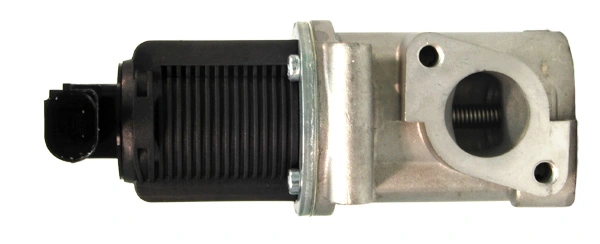 LIZARTE EGR002