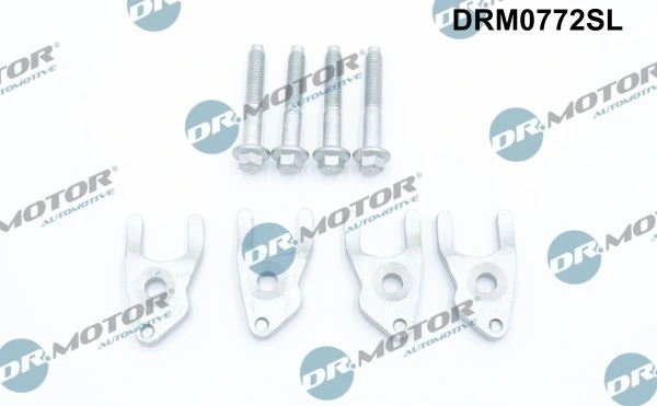 LIZARTE DRM0772SL