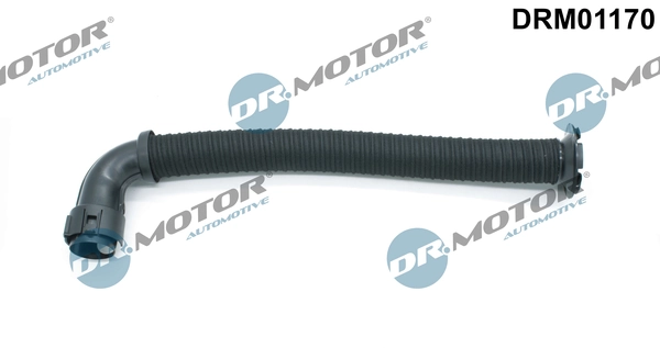 LIZARTE DRM01170