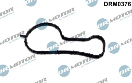 LIZARTE DRM0376