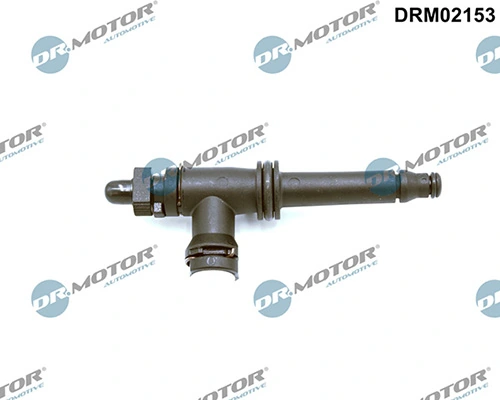 LIZARTE DRM02153