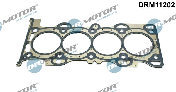LIZARTE DRM11202