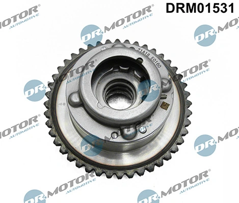 LIZARTE DRM01531