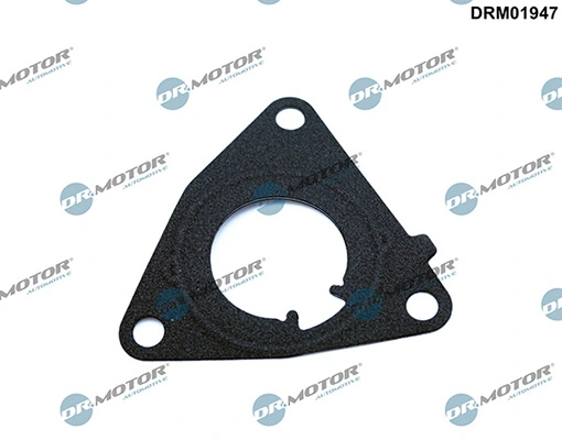 LIZARTE DRM01947