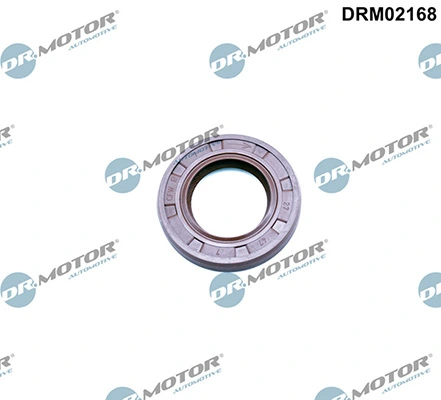 LIZARTE DRM02168