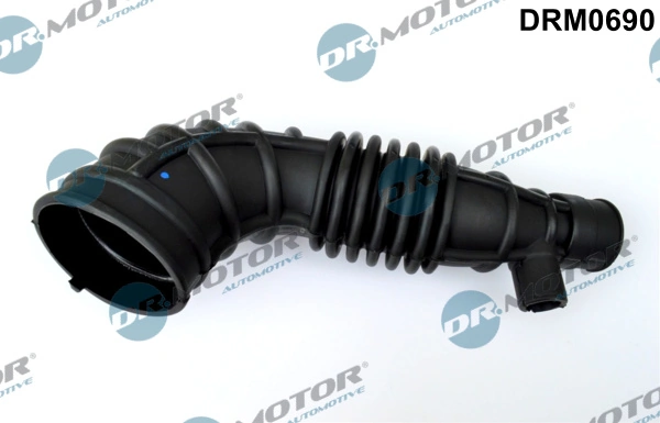 LIZARTE DRM0690