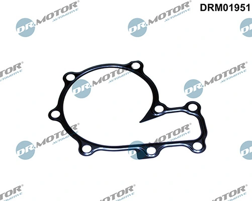 LIZARTE DRM01951
