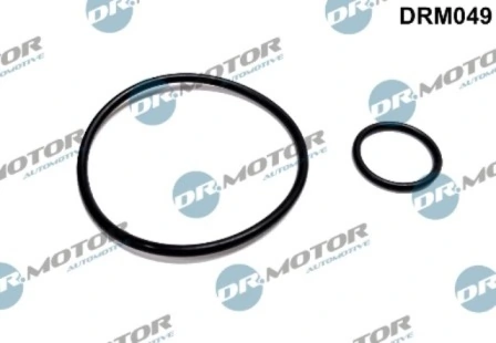LIZARTE DRM049